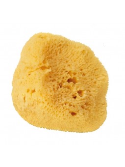 Éponge naturelle de la mer Méditerranée Jolils Baumes